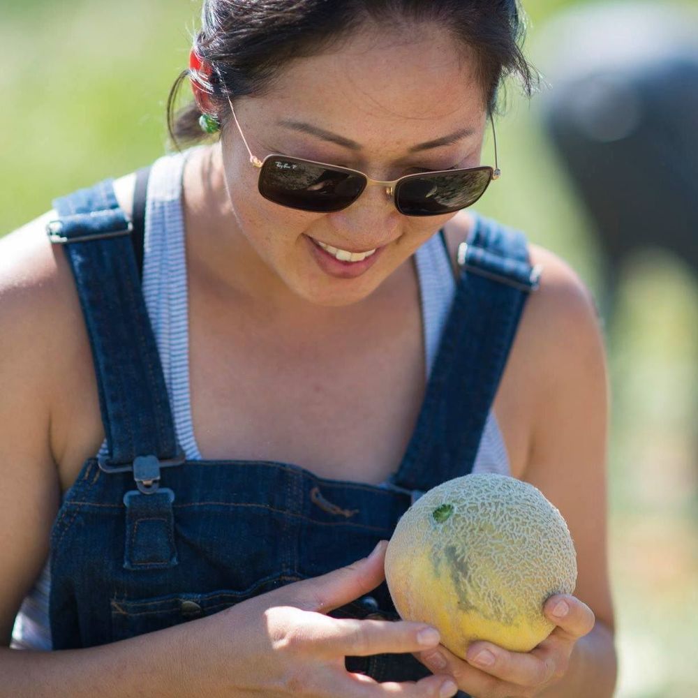 Meet your Posher, Michelle